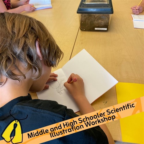 Middle and High Schooler Scientific Illustration Workshop.jpg